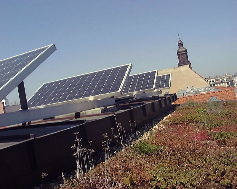 Gründach mit Solaranlage